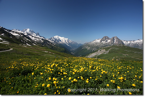 Tour de Mont Blanc, Col de la Forclaz - Col de Balme - Tre-Le-Champ